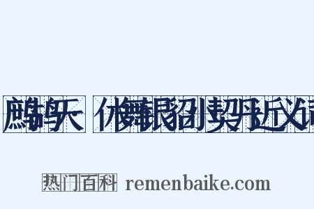 鹧鸪天·休舞银貂小契丹近义词是什么意思的图片